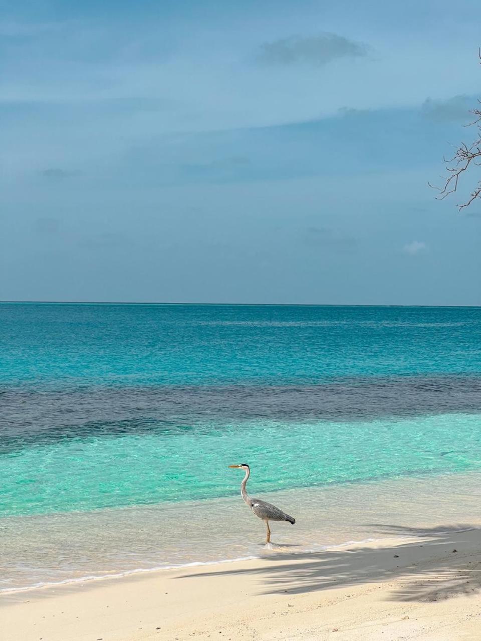 Infinite Lagoon Mandhoo 외부 사진