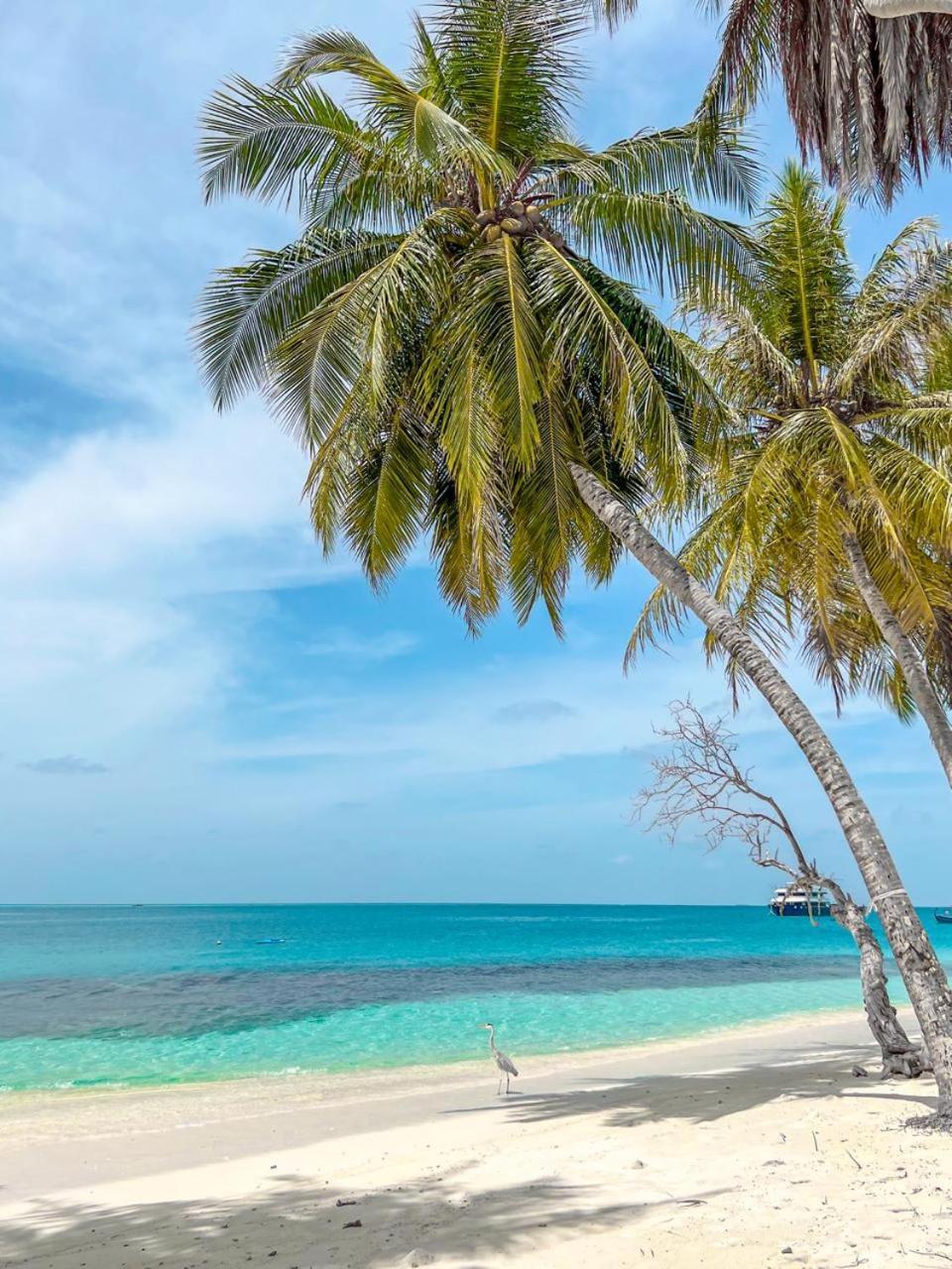 Infinite Lagoon Mandhoo 외부 사진