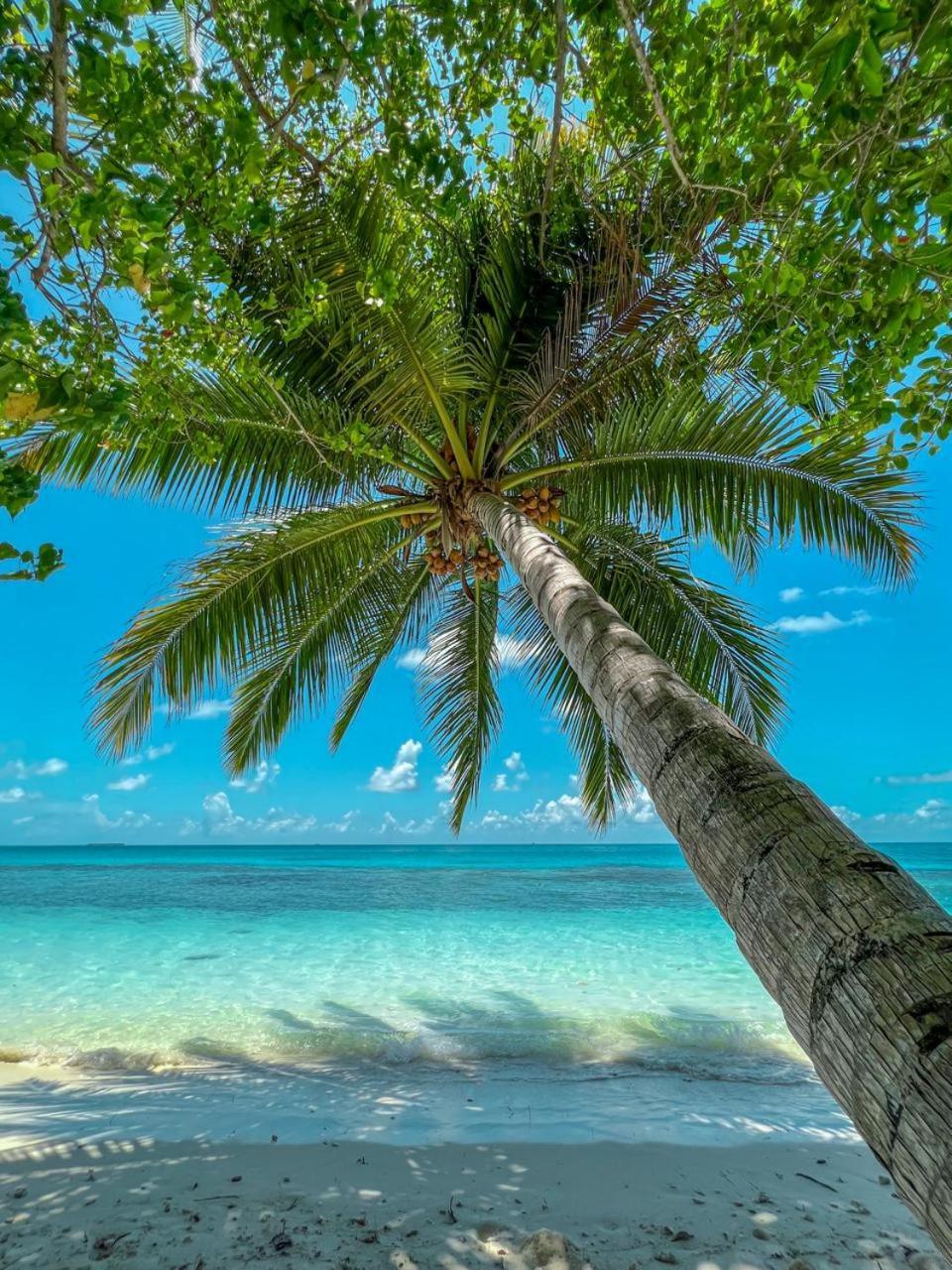 Infinite Lagoon Mandhoo 외부 사진